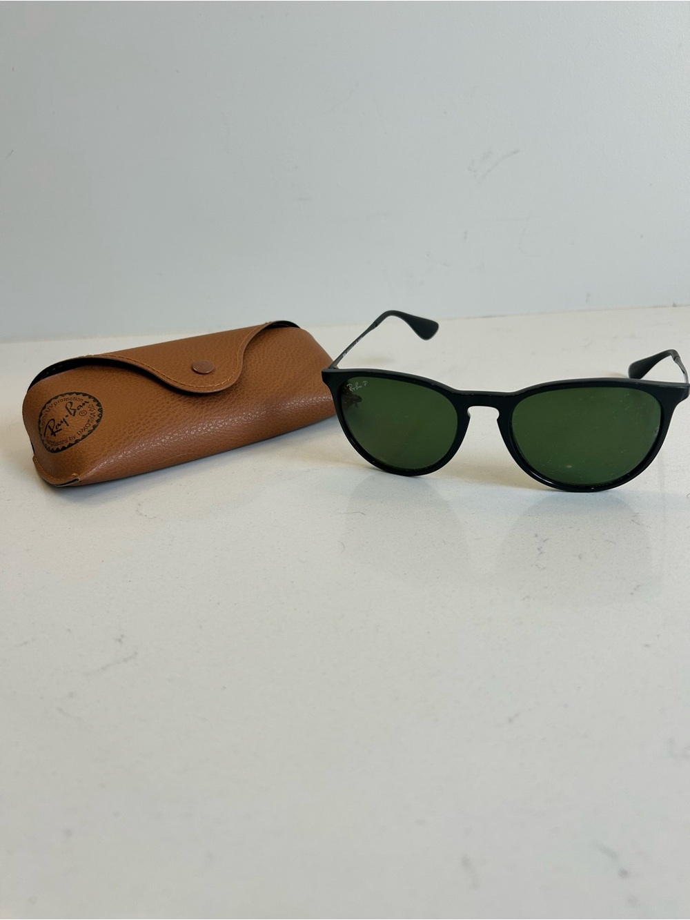 Ray-Ban Erika Sunglasses